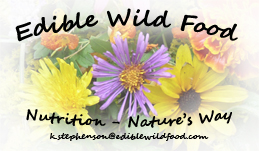 Edible Wild Food