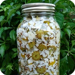 Miscellaneous Recipes