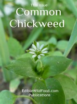 Chickweed Magazine