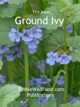 Ground Ivy Magazine