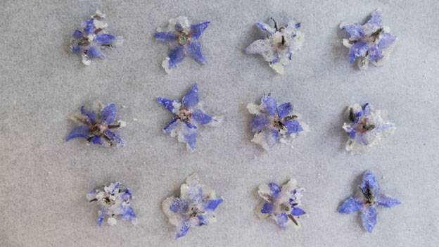 How to Crystallize Edible Flowers for Cakes and Desserts 