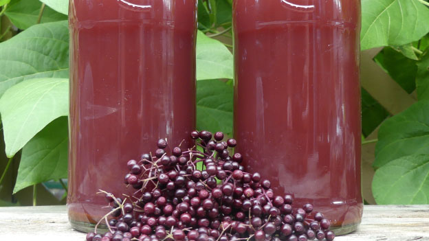 Elderberry Cold and Cough Syrup