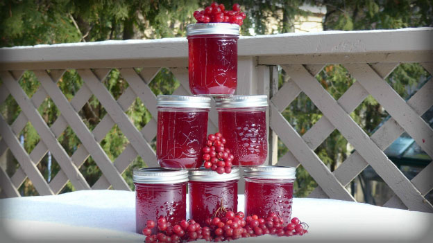 Highbush Cranberry Jelly