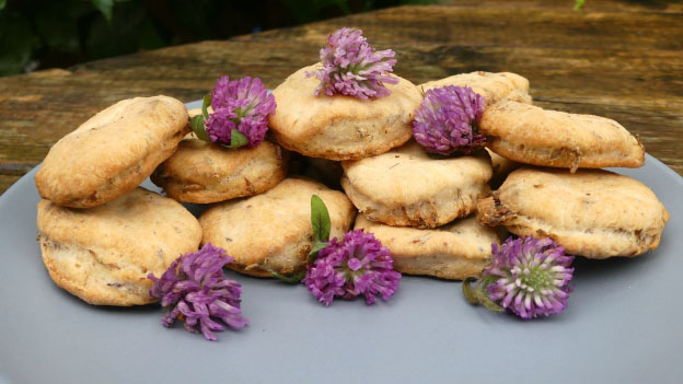 Red Clover Biscuits