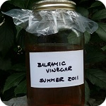 Vinaigrette Recipes
