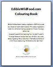 Wild Edible Colouring Book