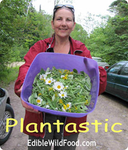 Plantastic!