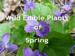 Spring Edibles