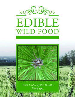 Wild Edible Subscription