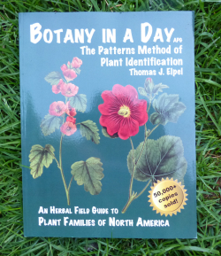 Botany in a Day