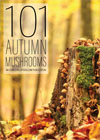 Autumn Mushrooms