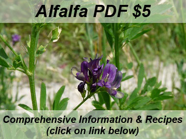 alfalfa picture