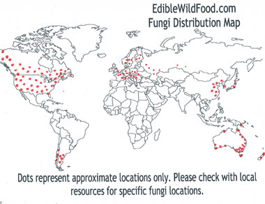 artist conk distribution map