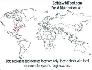 hericium americanum distribution map