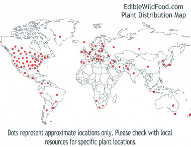 bitter dock distribution map