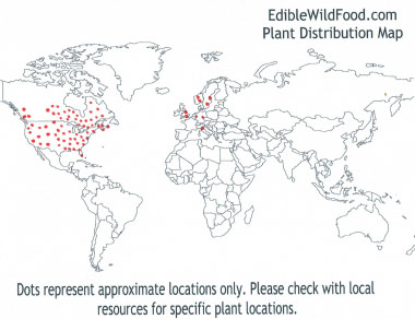 blue vervain distribution map