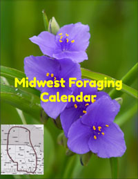 Midwest Foraging Calendar