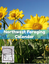 Northwest Foraging Calendar