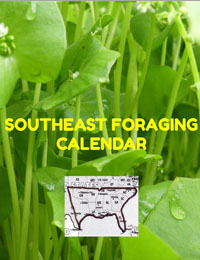 Southeast Foraging Calendar