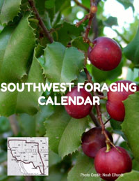 Southwest Foraging Seasons