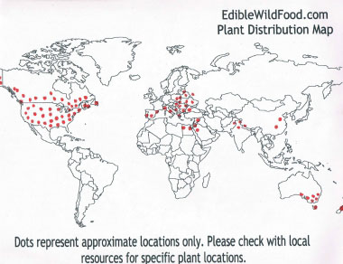 catnip distribution map