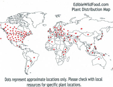 cattail distribution map