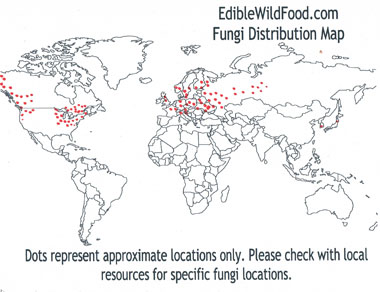 chaga distribution map