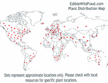 chickweed distribution map