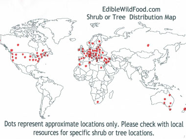 hawthorn distribution map