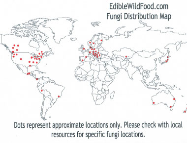 common morel distribution map