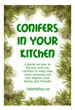 Conifers in the Kitchen