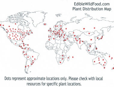 dandelion distribution map