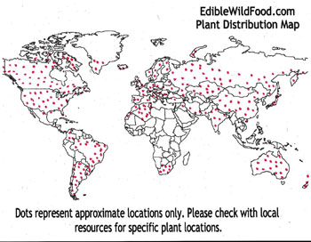 field pennycress distribution