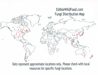 giant puffball distribution map