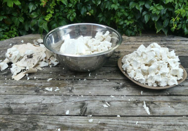 giant puffball mushroom