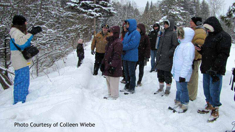 Winter Foraging