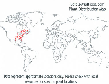 Mayapple distribution map