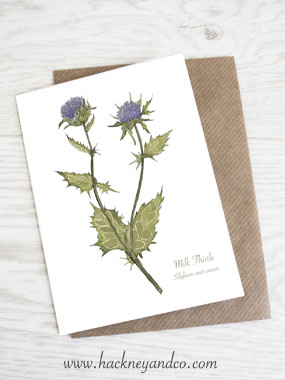 Milk Thistle artcard