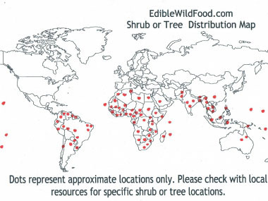 neem tree distribution map