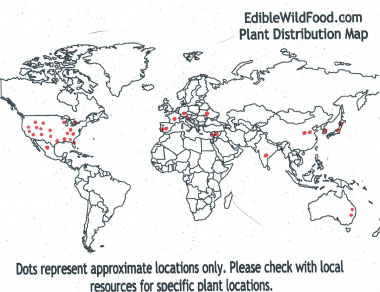 carelessweed distribution map