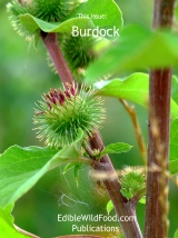 Burdock Magazine