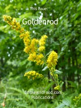 Goldenrod Magazine