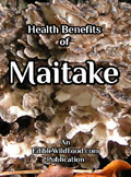 Maitake Health Benefits