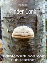 Tinder Conk Magazine