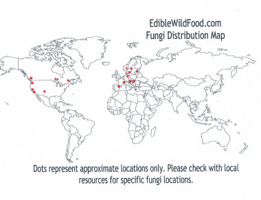 pigs ear distribution map