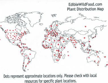 purslane distribution map