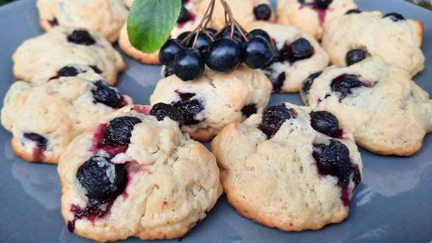 Aronia Berry Cookies