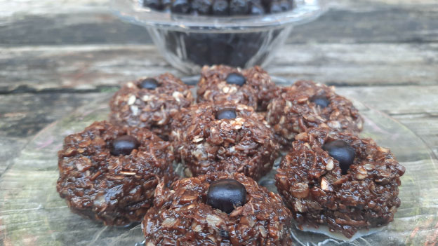 Aronia Coconut Choco-Bites