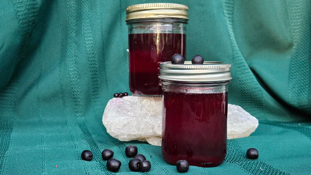 Aronia Elderberry Jelly