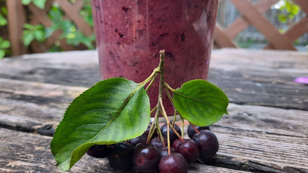 Aronia Fruit Smoothie